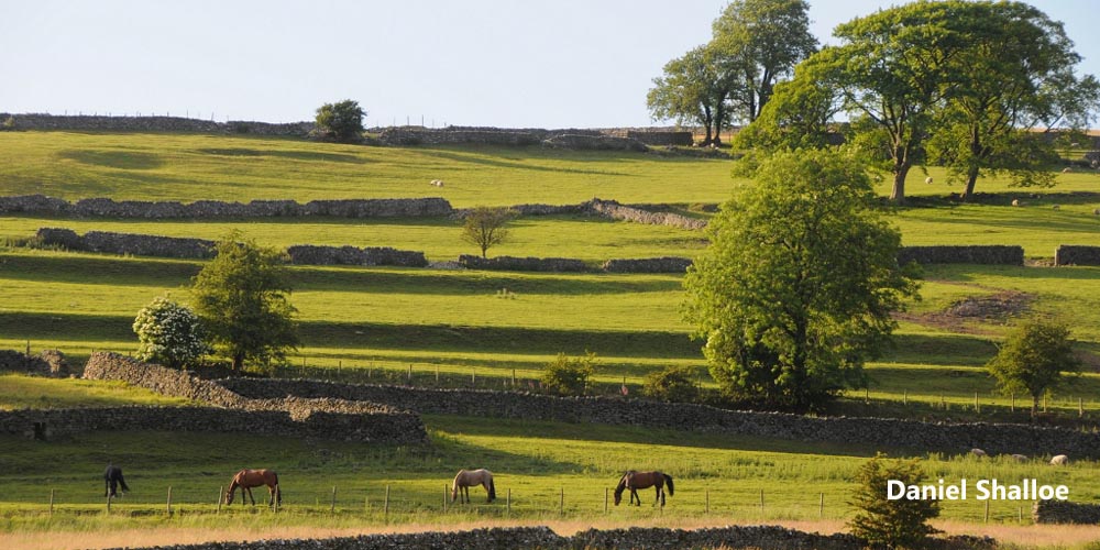 Wharfedale cottages, Appletreewick, Yorkshire Dales holiday accommodation